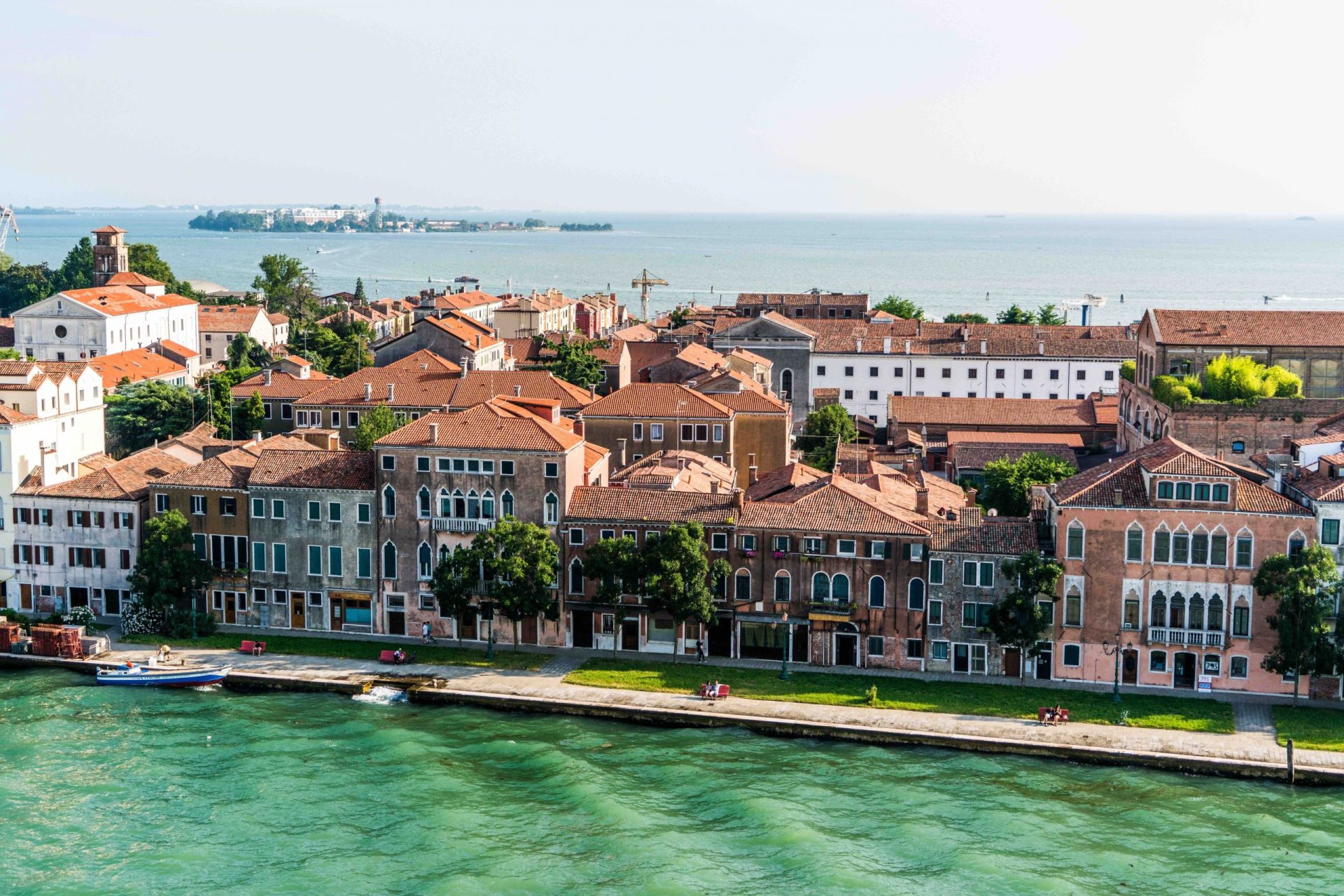 festival del cinema di venezia