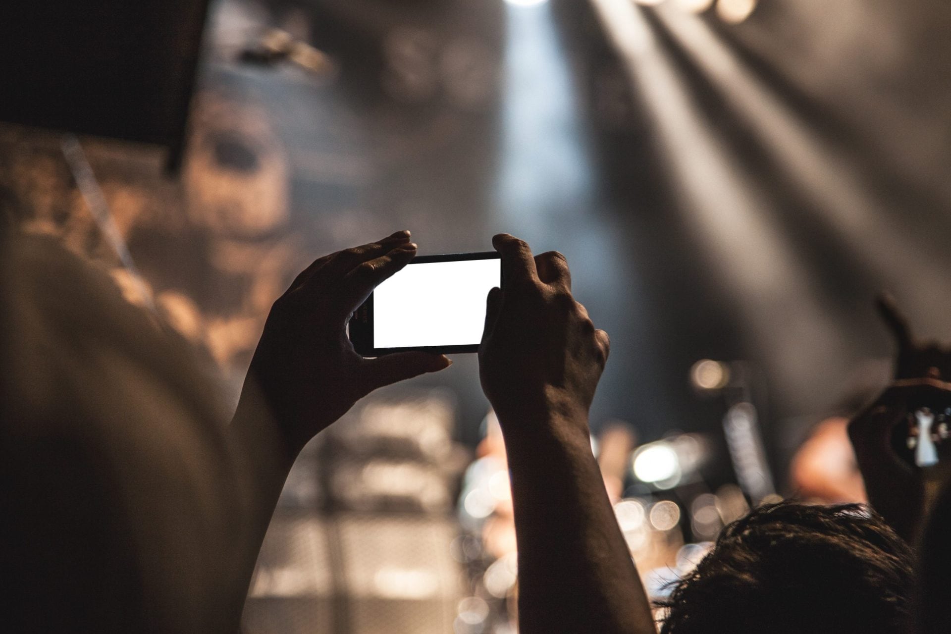 pubblico ad un concerto