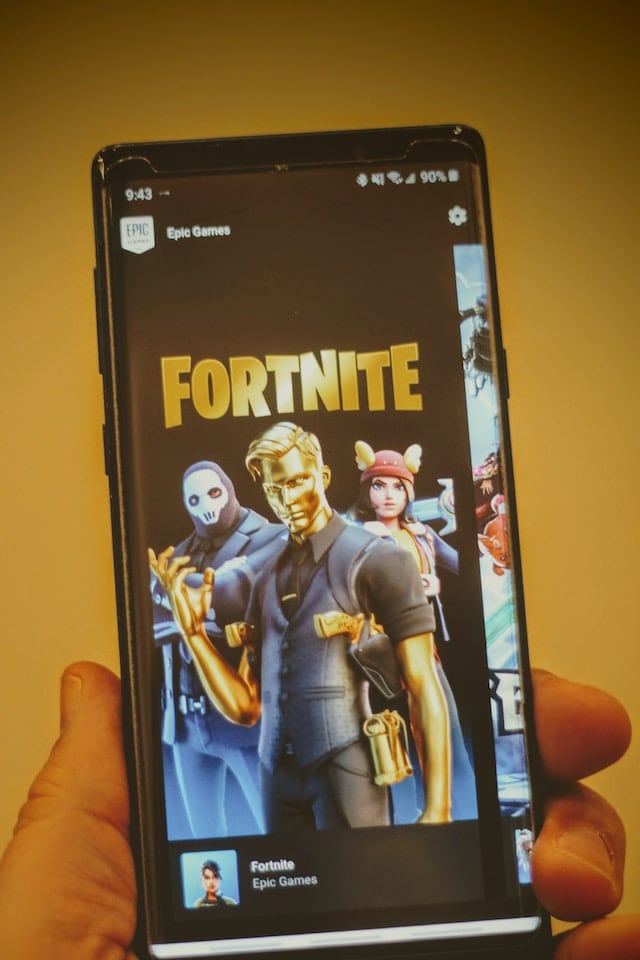 fortnite skin